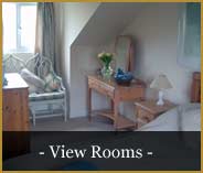 bed and breakfast blandford